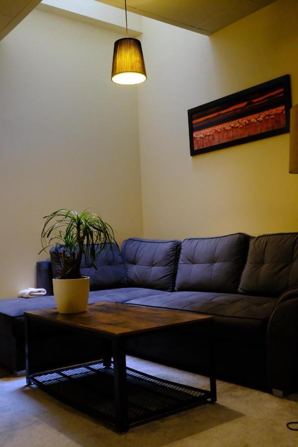 City Apartment Getta 克拉科夫 外观 照片